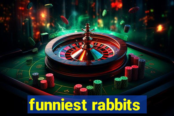 funniest rabbits