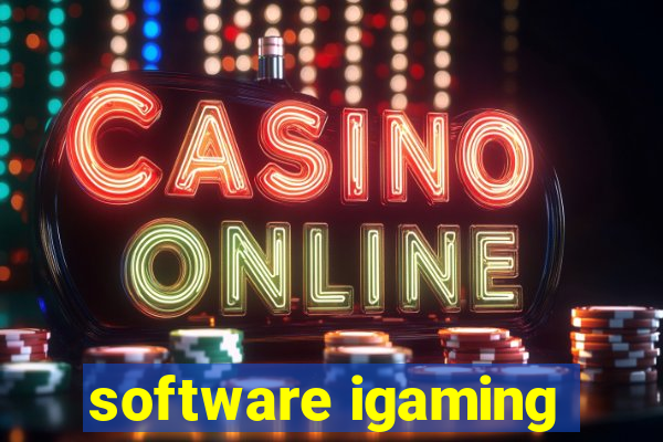 software igaming