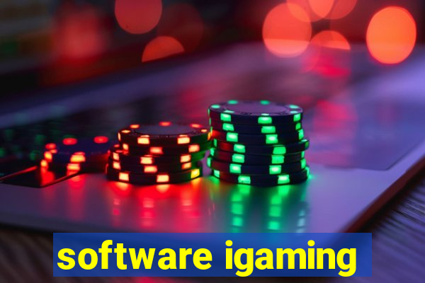 software igaming