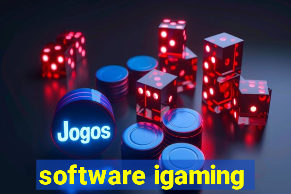 software igaming