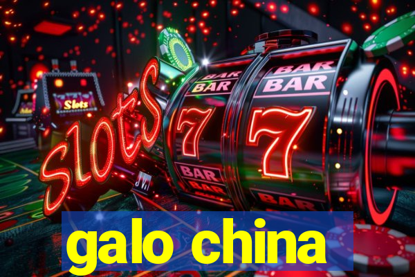 galo china