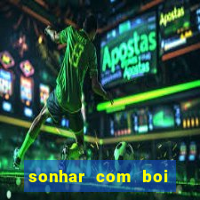 sonhar com boi branco jogo do bicho