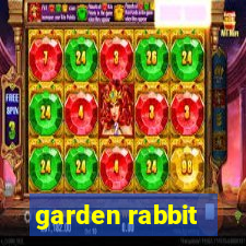 garden rabbit