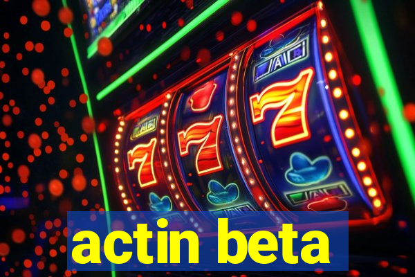 actin beta