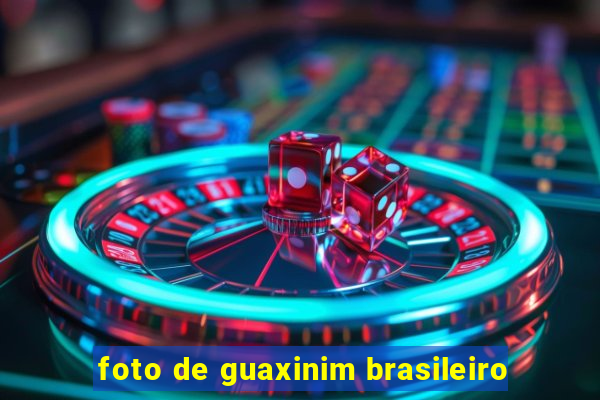 foto de guaxinim brasileiro