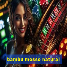 bambu mosso natural