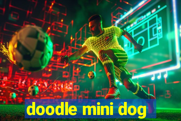 doodle mini dog