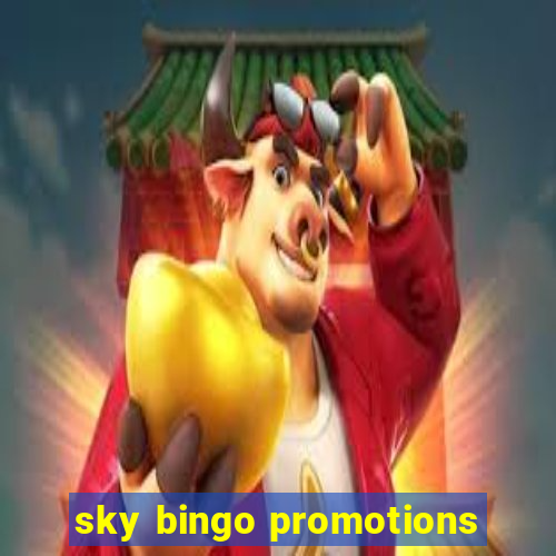 sky bingo promotions