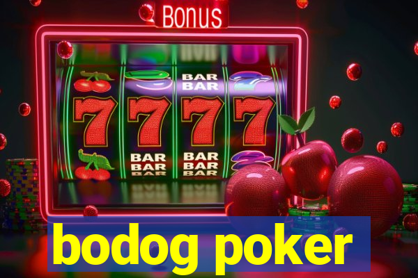 bodog poker