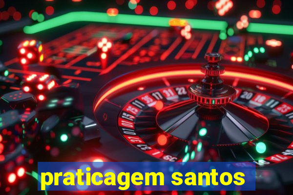 praticagem santos