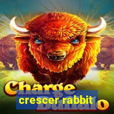 crescer rabbit