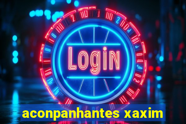 aconpanhantes xaxim