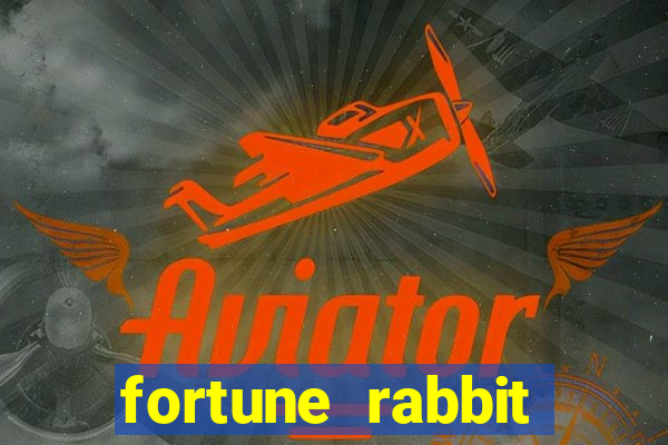 fortune rabbit melhor hor谩rio