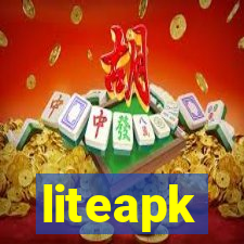 liteapk