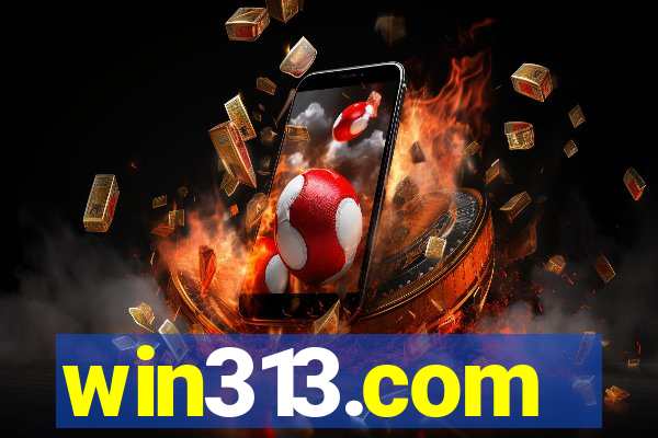 win313.com