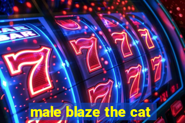 male blaze the cat