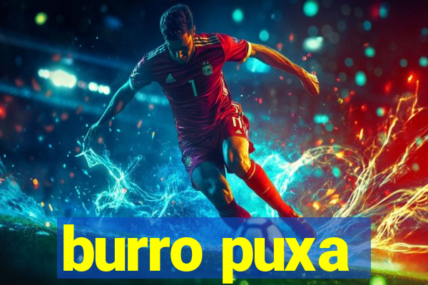 burro puxa