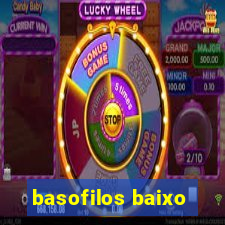 basofilos baixo