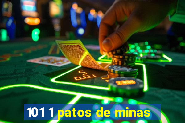 101 1 patos de minas