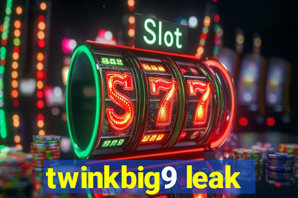 twinkbig9 leak