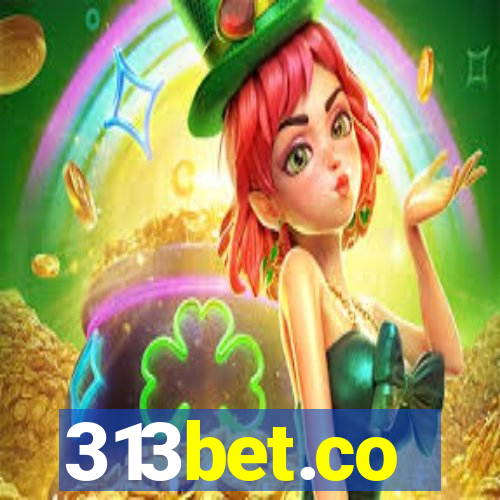 313bet.co