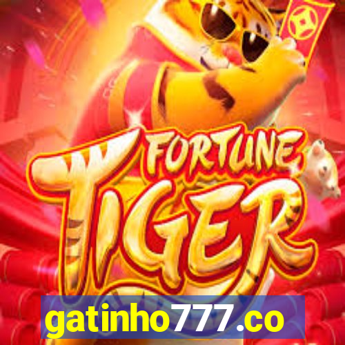 gatinho777.co