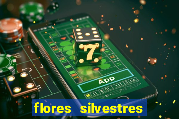 flores silvestres desbravadores desbravadores 25