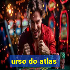 urso do atlas