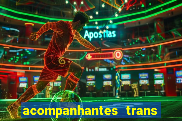 acompanhantes trans baixada fluminense