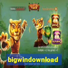 bigwindownload