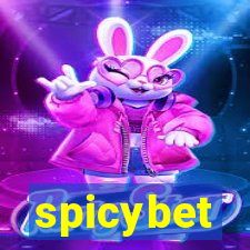 spicybet