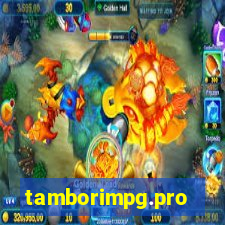 tamborimpg.pro