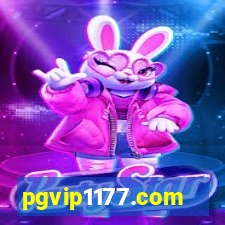 pgvip1177.com