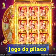 jogo do pitaco