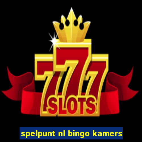 spelpunt nl bingo kamers