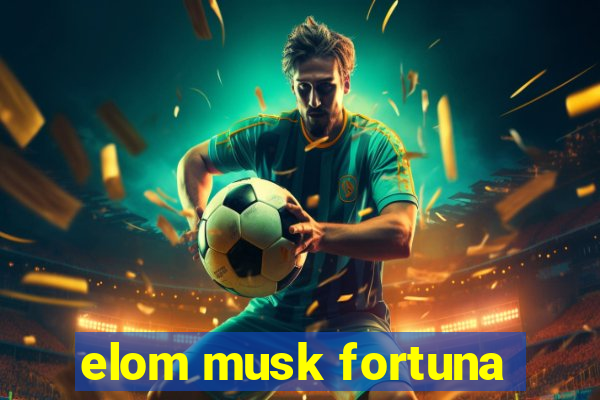 elom musk fortuna