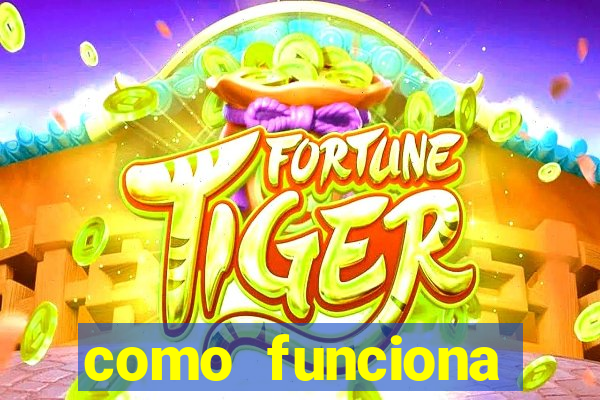 como funciona tarifa super bingo msc