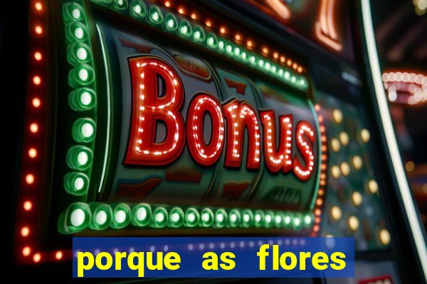 porque as flores da roma caem