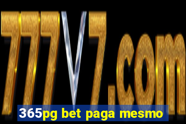 365pg bet paga mesmo