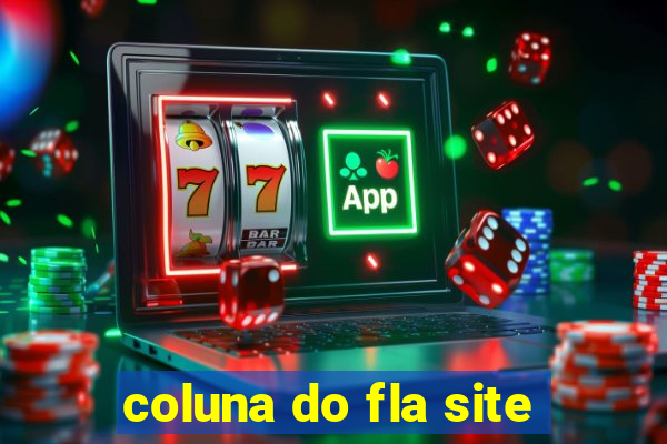 coluna do fla site