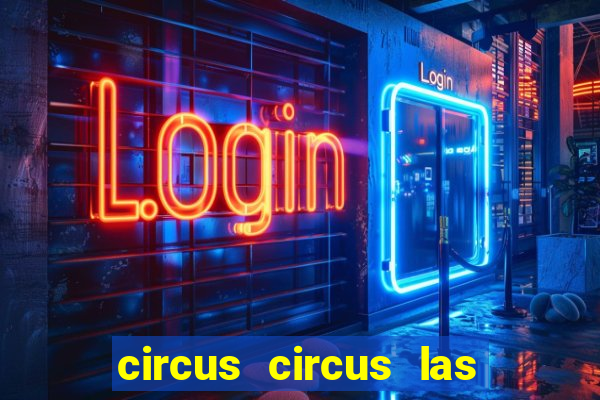 circus circus las vegas hotel and casino