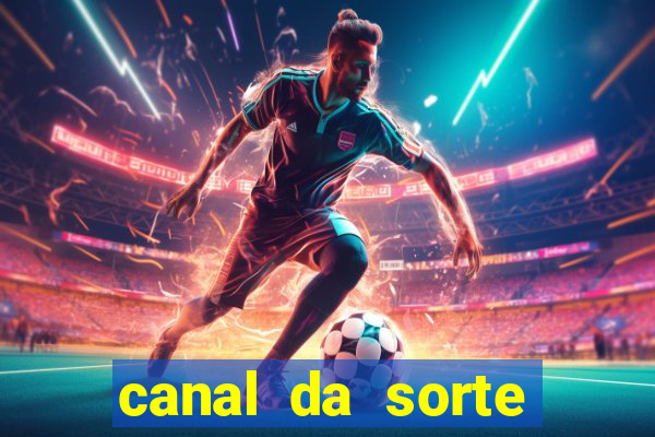 canal da sorte bingo de hoje