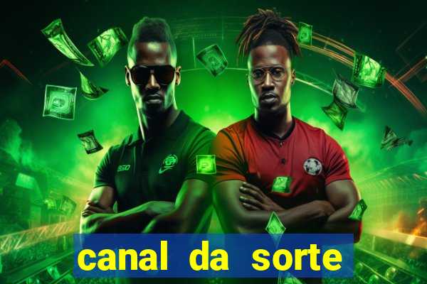 canal da sorte bingo de hoje