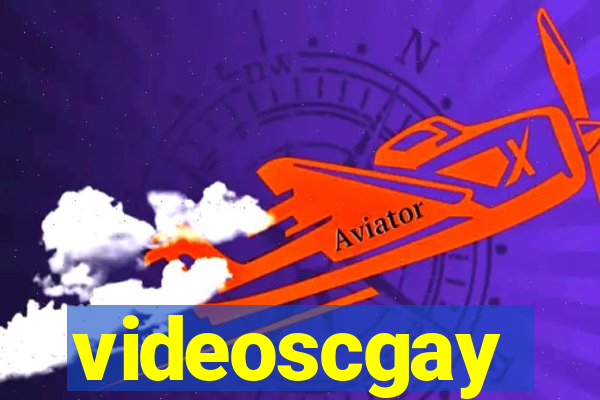 videoscgay