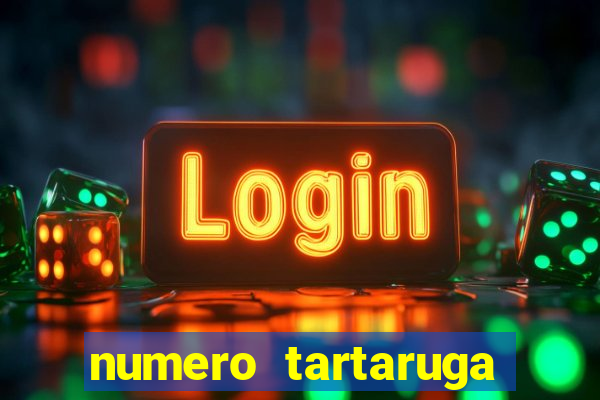 numero tartaruga jogo do bicho