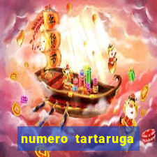 numero tartaruga jogo do bicho