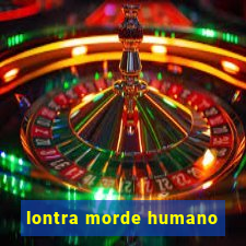 lontra morde humano