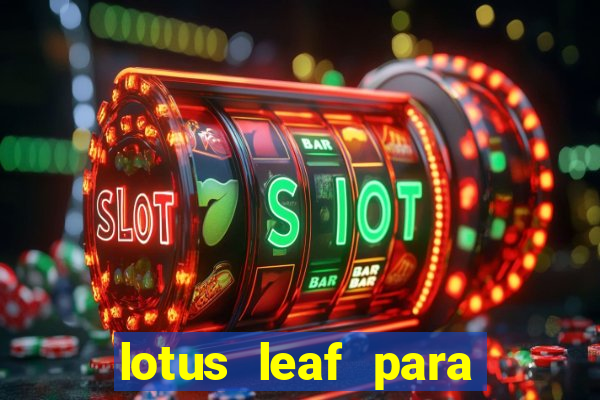 lotus leaf para que serve