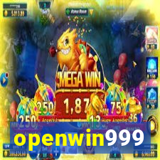 openwin999