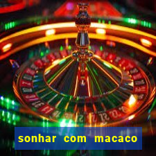 sonhar com macaco o que significa